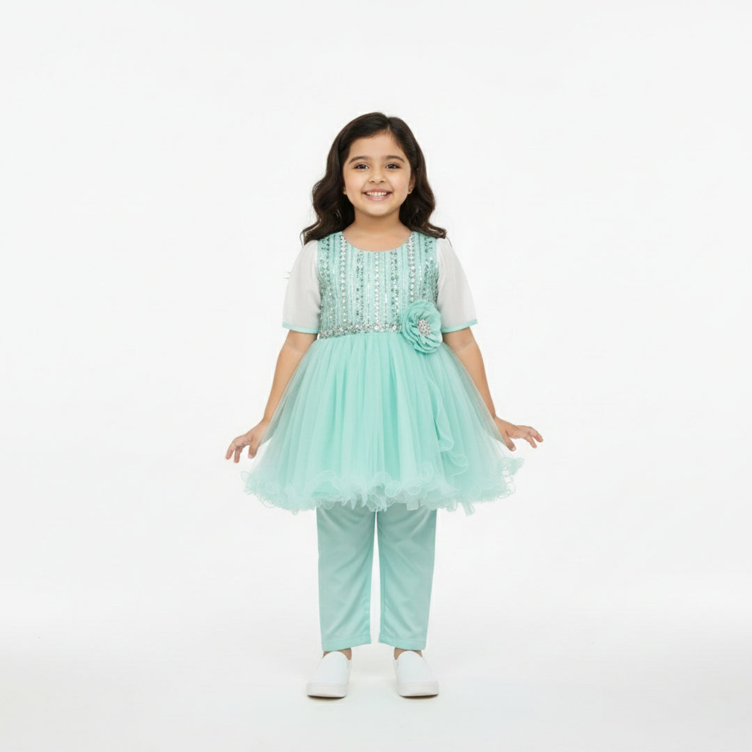 Sparkling Net Frock with Trouser